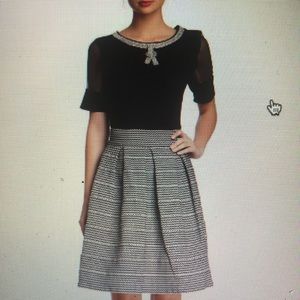 Gracia flared bandage skirt